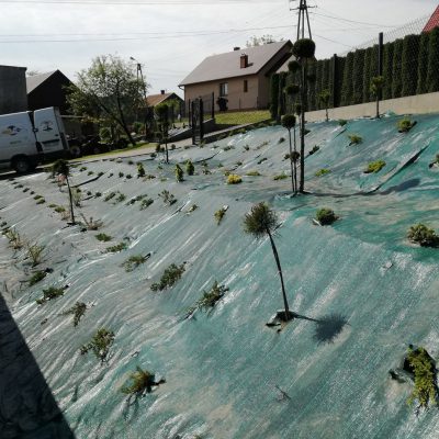 Zakładanie ogrodu na skarpie w Krakowie