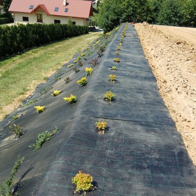 Zakładanie ogrodu na skarpie Tarnów