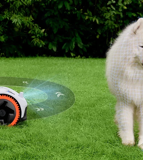 robot koszący Segway Navimow praca na trawniku ogród przydomowy
